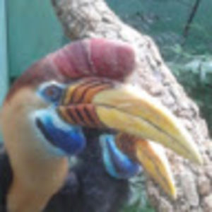 Meet your Posher, Ruby